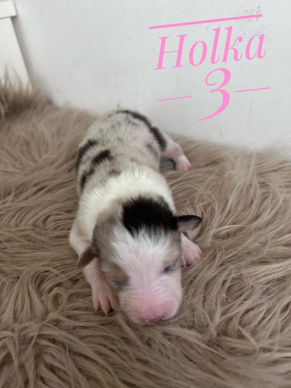 Holka 3